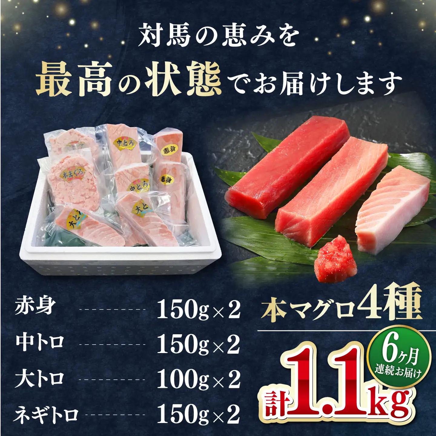 【全6回定期便】 対馬産 本マグロ 4種 計1.1kg（赤身/中トロ/大トロ/ネギトロ）[WAH038] マグロ まぐろ トロ