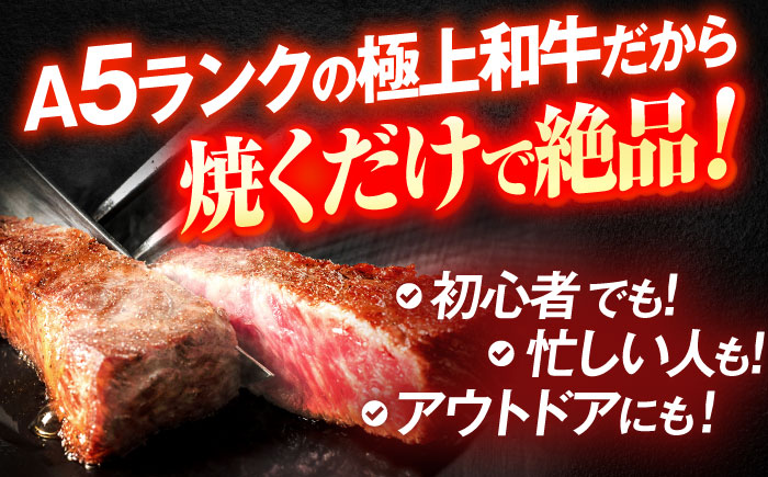 長崎和牛A5ランクヒレステーキ（150ｇ×2枚）【肉のあいかわ】 [OCH019] / 牛肉 ヒレステーキ ヒレ ヘレ 牛肉 ヒレステーキ