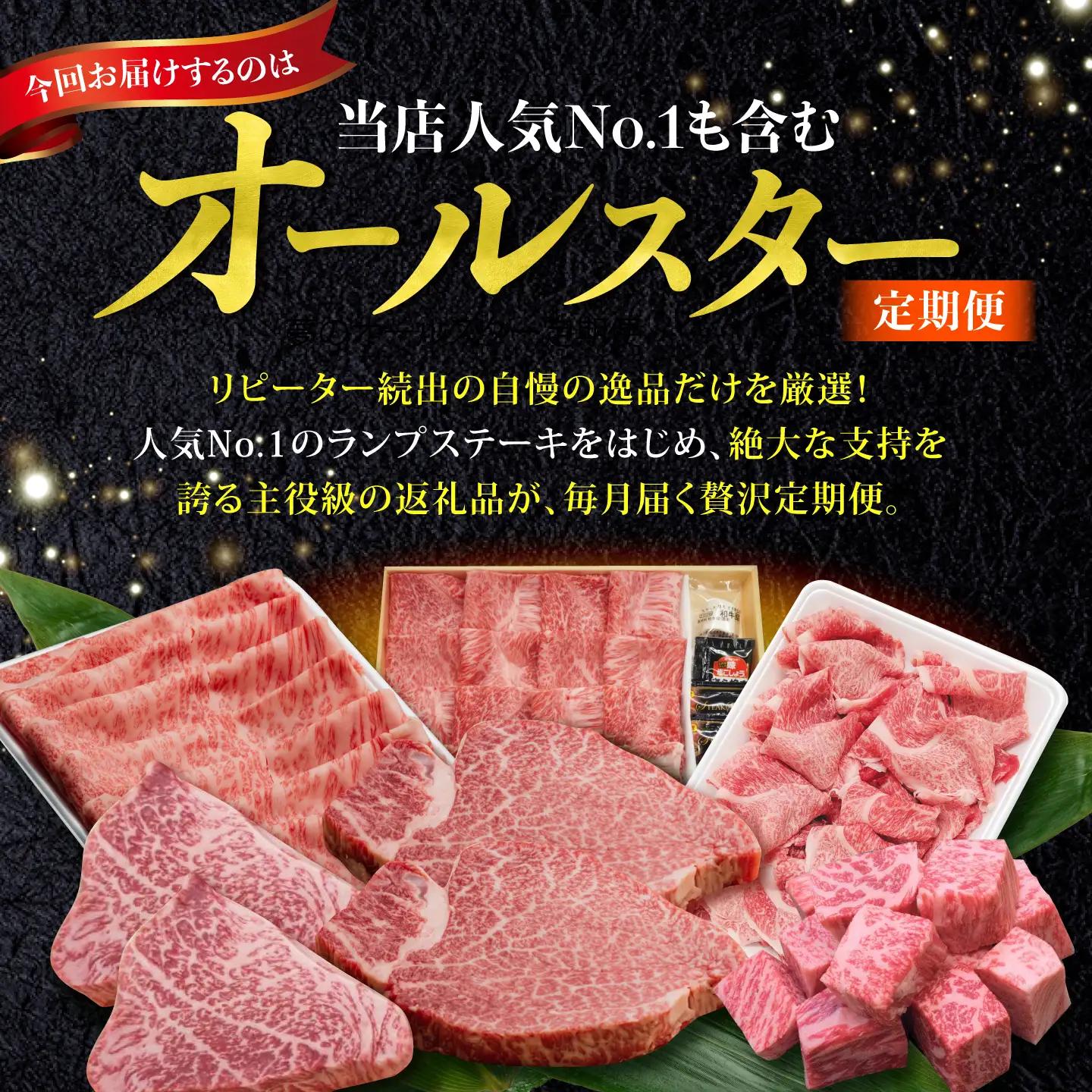 【全6回】人気返礼品が毎月届く！オールスター定期便 A5ランク 人気返礼品 [NA113]