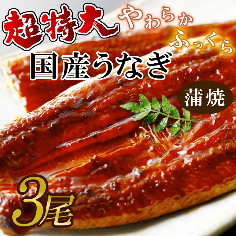【ふるさと納税】超特大！やわらか国内産うなぎ蒲焼220～250g 3尾　計660g以上|うなぎ 鰻 蒲焼 特大 茨城県 行方市(AD-94-1)