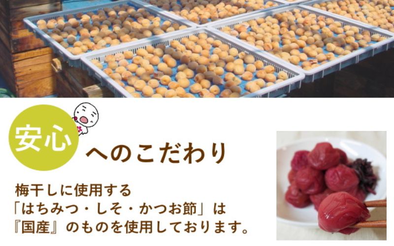 紀州南高梅 やわらか干し梅 梅短冊 はちみつ入り 176g（88g×2）個包装 / 和歌山 和歌山県産 田辺市 南高梅 干し梅 種なし はちみつ干し梅 柔らかい干し梅 個包装【nag005】