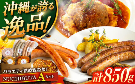 ソーセージ ハンバーグ 『NUCHIBUTA Aセット』 豚肉 ハンバーグ ソーセージ  BCAR003 豚肉▼ 加工品 セット・詰め合わせ ハム 手作り 年末年始 年末 年越し お正月 