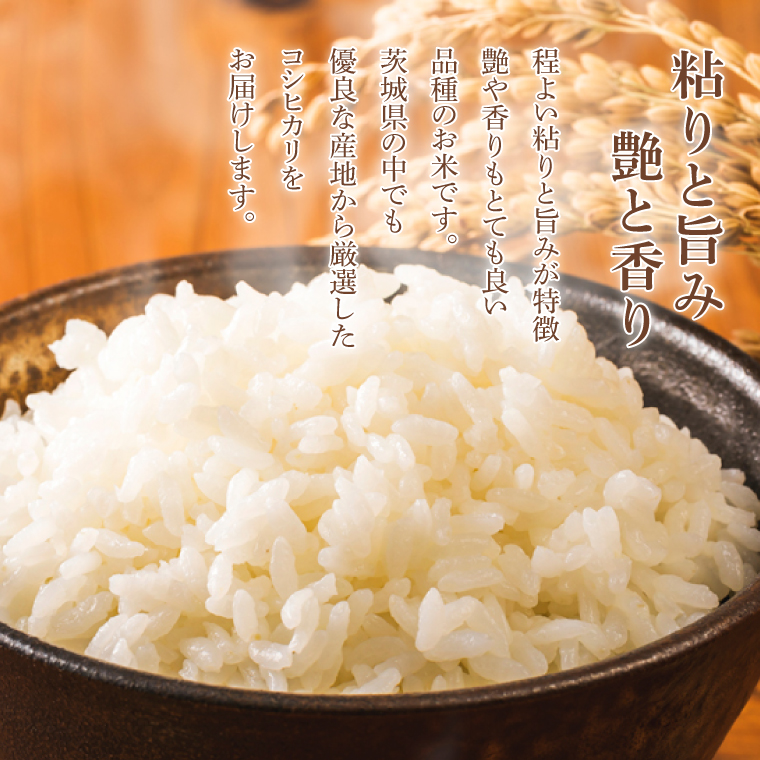 【3ヶ月定期便】★1等米★ コシヒカリ 10kg (5kg × 2袋) 総計 30kg【令和6年産】米 精米 白米 こしひかり 定期便 茨城県 鹿嶋市 国産 送料無料 お米 ごはん おにぎり 冷めても