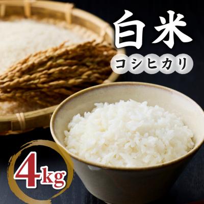 ふるさと納税 東御市 【小田農園】冷めても美味しいコシヒカリ　白米4kg　|最短4〜7日程度でお届け
