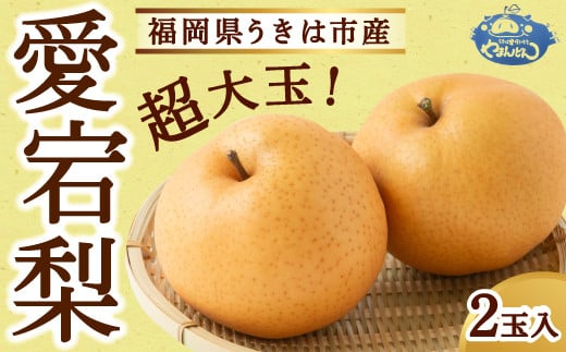 やまんどん 愛宕梨 超大玉 2玉入 【2025年11月上旬発送予定】 ／ ナシ 梨 果物 フルーツ くだもの うきは市