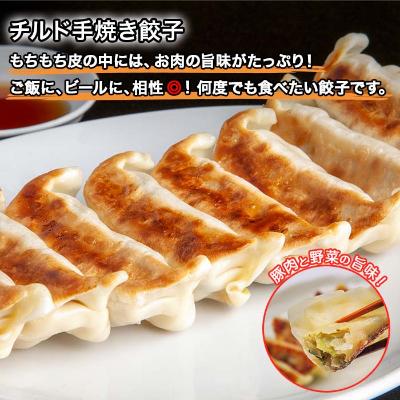 ふるさと納税 南魚沼市 新潟県 南魚沼市 チルド手焼き餃子 8個入り × 6パック 計48個 ケンちゃん餃子 |  | 01