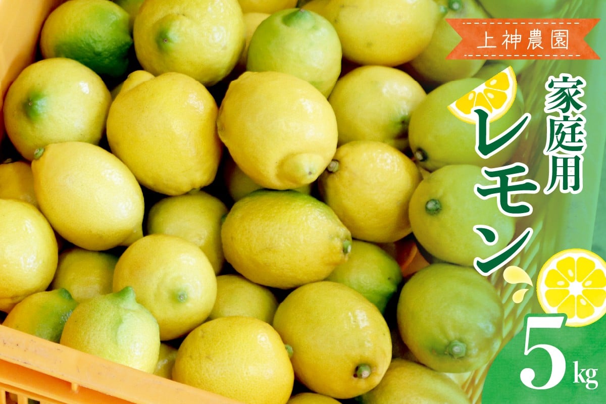 
            【2025年11月～発送】上神農園 家庭用 広島産 レモン 約5kg ku011-035-25
          