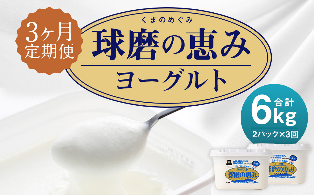 【3ヶ月定期便】球磨の恵みヨーグルト 加糖 1kg×2パック×3回  合計6kg 