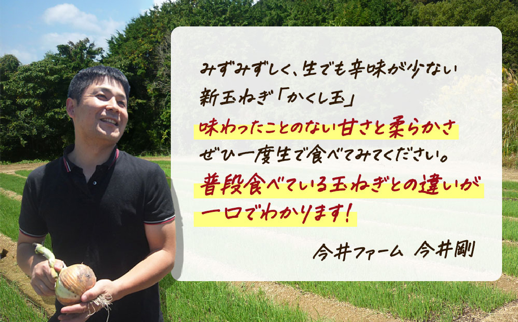 【新たまねぎ】今井ファームの淡路島たまねぎ「かくし玉」 5kg【発送時期2026年4月下旬～5月頃】