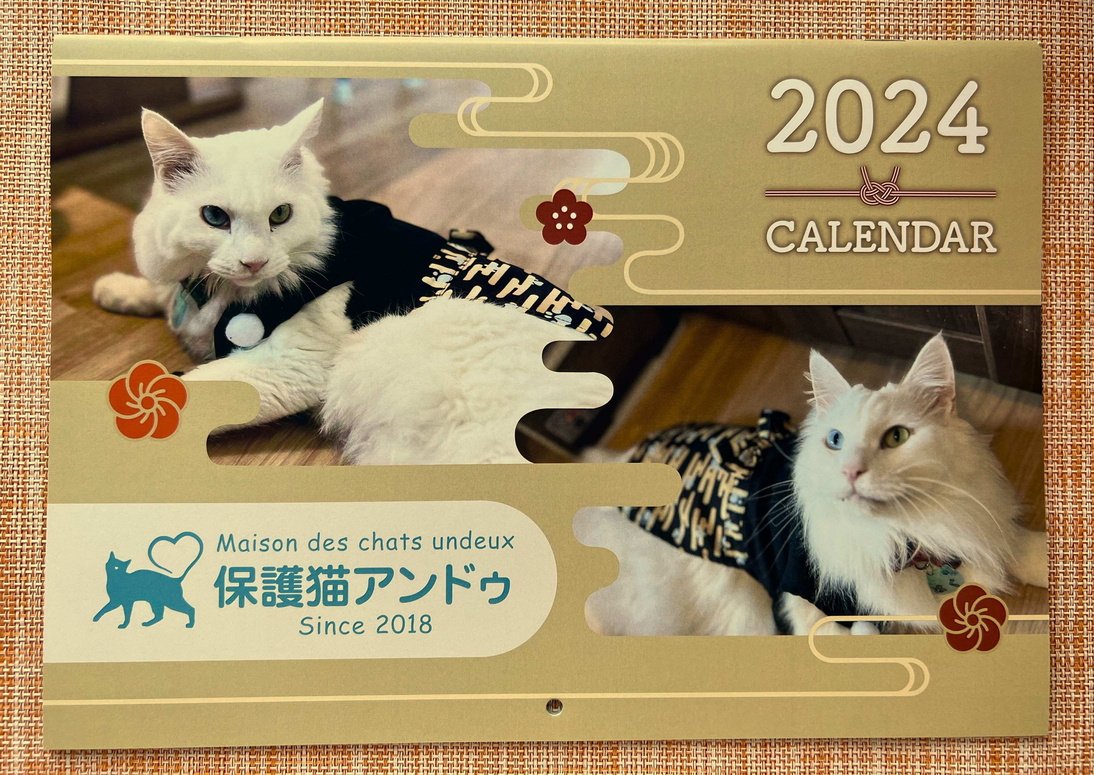 
fc-36-002 『保護猫アンドゥ』オリジナルカレンダーとフリータイムチケット3枚のセット
