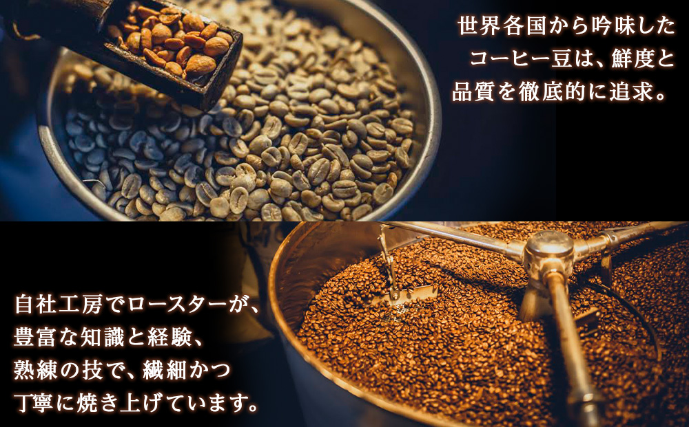 ドリップバック3種飲み比べセット　各種２袋　合計６袋