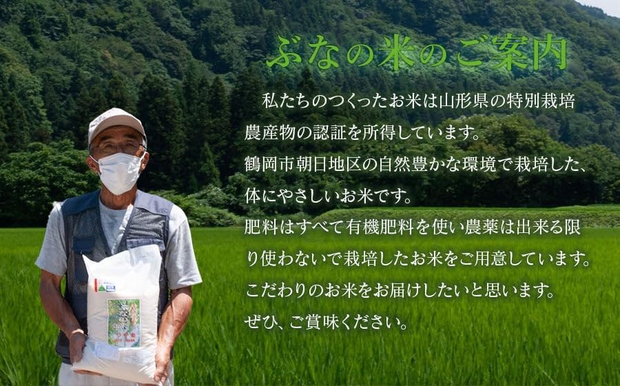 【令和7年産】特別栽培米 つや姫 10kg（5kg×2袋） 山形県鶴岡市  伊藤農園（伊藤嘉吉）　| つやひめ 10キロ 米 コメ こめ ブランド米 食品 ご飯 ごはん 美味しい おすすめ 人気 東北