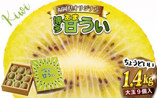 【2024年11～12月出荷】福岡県ブランドキウイフルーツ「博多甘うぃ」化粧箱大玉9玉約1.4kg[F2279]