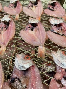 a19-027　のどぐろの入ったひものセット