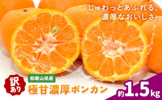 ご家庭用 極甘 柑橘 有田育ちの 濃厚 ポンカン 約1.5kg 有田マルシェ《1月中旬-2月下旬頃発送予定》和歌山県 日高町 国産 ぽんかん 訳あり 柑橘 果物 フルーツ ギフト 送料無料