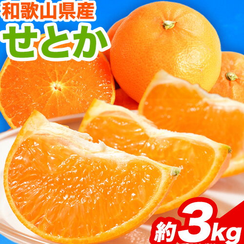 【ふるさと納税】【先行予約】とろける食感!ジューシー柑橘 せとか 約3kg 魚鶴商店 《2027年2月下旬-3月中旬頃出荷》 和歌山県 日高町 みかん 柑橘 果物 フルーツ 送料無料