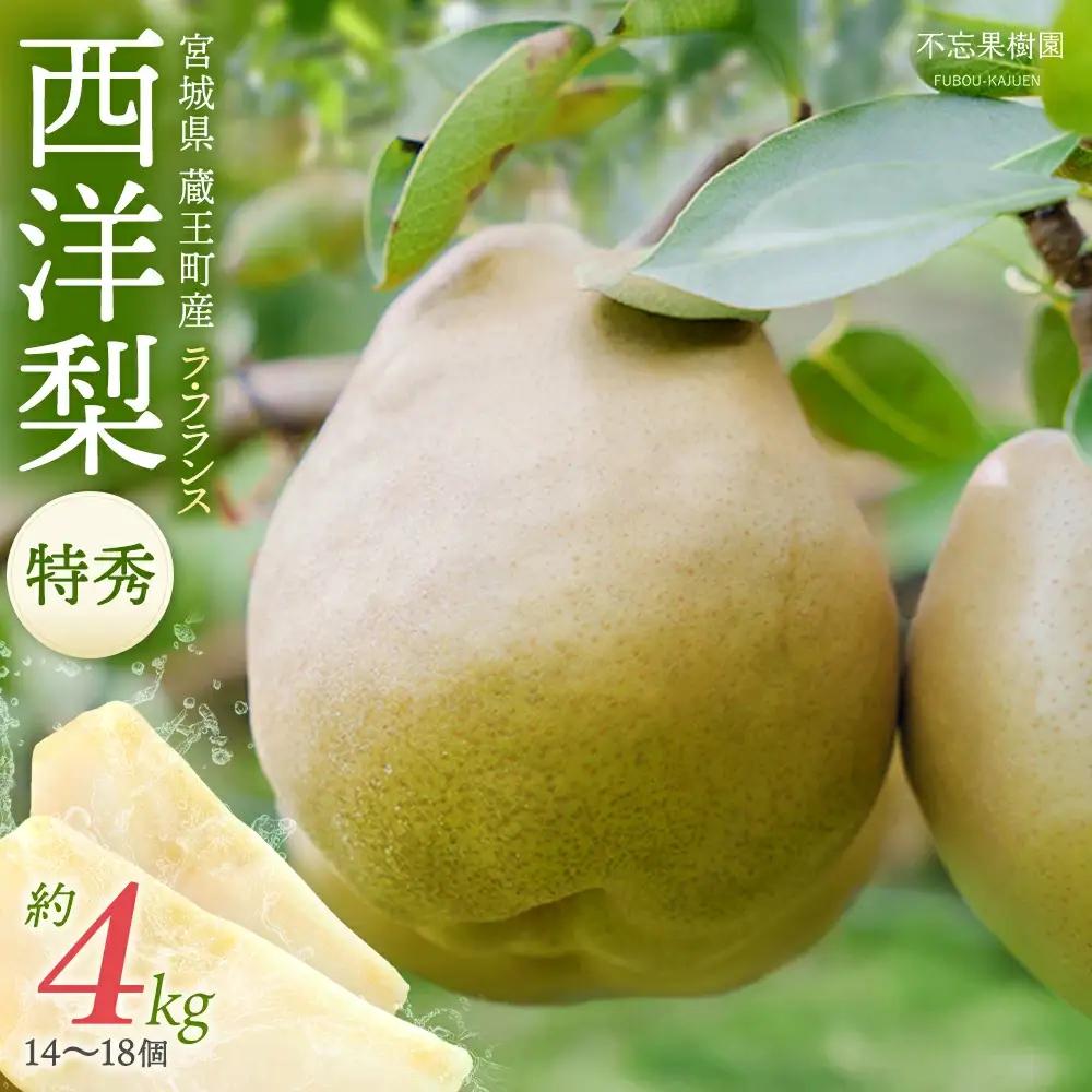 【先行予約】厳選 おいしいラ･フランス約4kg（14～18個） 蔵王産　【04301-0151】