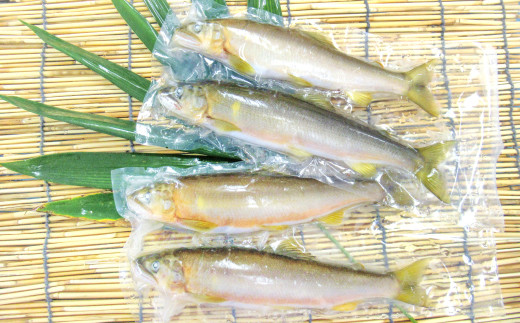 
【一級河川・江の川の恵み】島根県産　天然冷凍鮎　約800g【魚介類 魚 川魚 あゆ アユ 天然 冷凍あゆ 高鮮度 冷凍 小分け 便利 期間限定 季節限定】
