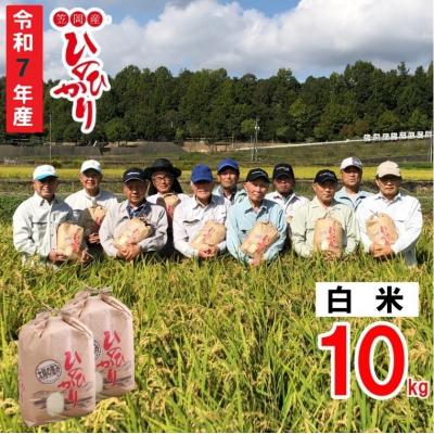 ふるさと納税 笠岡市 【令和7年産 先行受付】白米  ひのひかり 笠岡産 10kg 太陽の恵み O-07_10k_白米