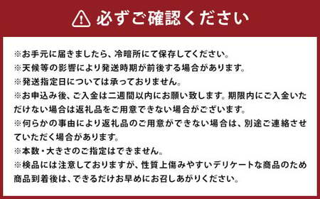 紅はるか 秀品 約10kg 芋 さつまいも サツマイモ べにはるか 野菜