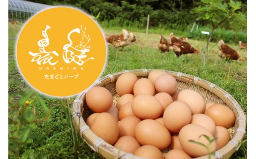 たまご 18個 ( 6個入り×3パック )