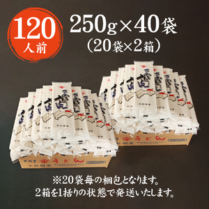 紀州屋 讃岐 うどん 大容量 120人前（3人前×40袋） 乾麺 本場さぬきうどん 麺類 讃岐うどん 国産 香川県 ご当地 高評価 特産品 長期保存 干しうどん さぬきの老舗 製麺所 人気 お取り寄せ