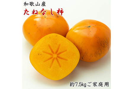 たねなし柿 和歌山産 ご家庭用 約7.5kg 【秋の味覚】 ｜ 柿