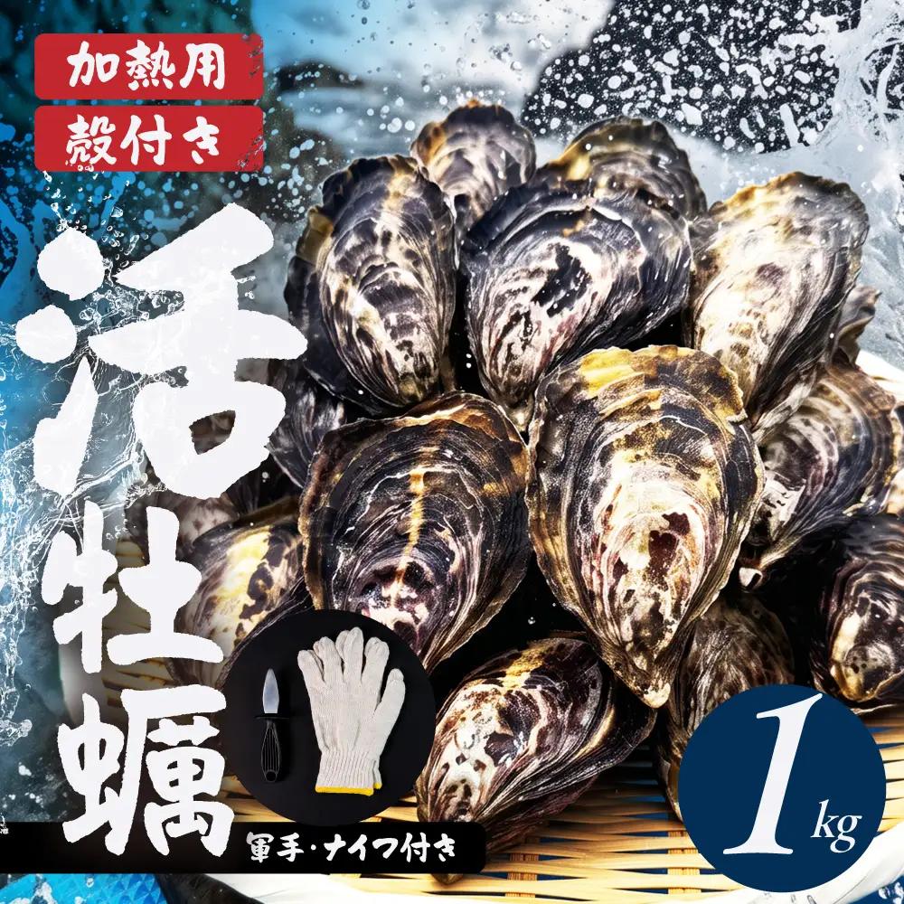 【数量限定】殻付き 生牡蠣（加熱用）1kg 軍手・牡蠣ナイフ付