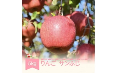 【先行予約】りんご サンふじ  約5kg 秀 令和7年産 2025年産 リンゴ 果物 山形県 村山市 フルーツ ja-risfx5 ※沖縄・離島への配送不可