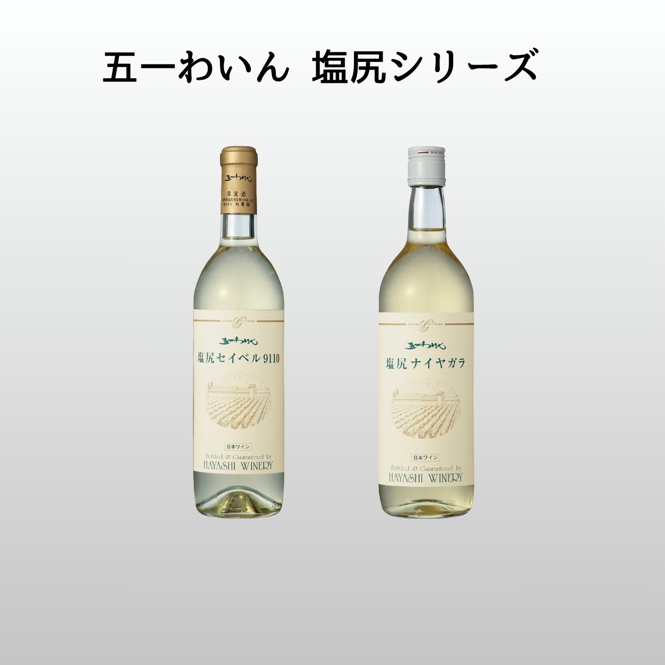【ふるさと納税】選べる種類！五一わいん 塩尻シリーズ | ワイン 白 セイベル ナイヤガラ お酒 五一わいん 日本ワインコンクール 人気 長野県 塩尻市
