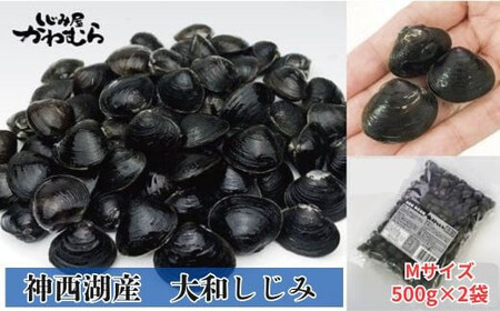 【神西湖産】冷凍 砂抜き しじみ　Mサイズ 1kg（500g×2袋））| しじみ