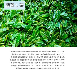 054-22　水出し専用 深蒸し茶 ティーバッグ(5g×20p)5袋 【 ティーバッグ 】