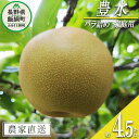 【ふるさと納税】 梨 豊水 家庭用 4.5kg ( バラ詰め ) 松澤農園 沖縄県へは配送不可 令和6年度収穫分 長野県 飯綱町 〔 梨 幸水 なし ナシ 信州 16000円 予約 農家直送 〕発送時期：2024年9月中旬～2024年9月下旬