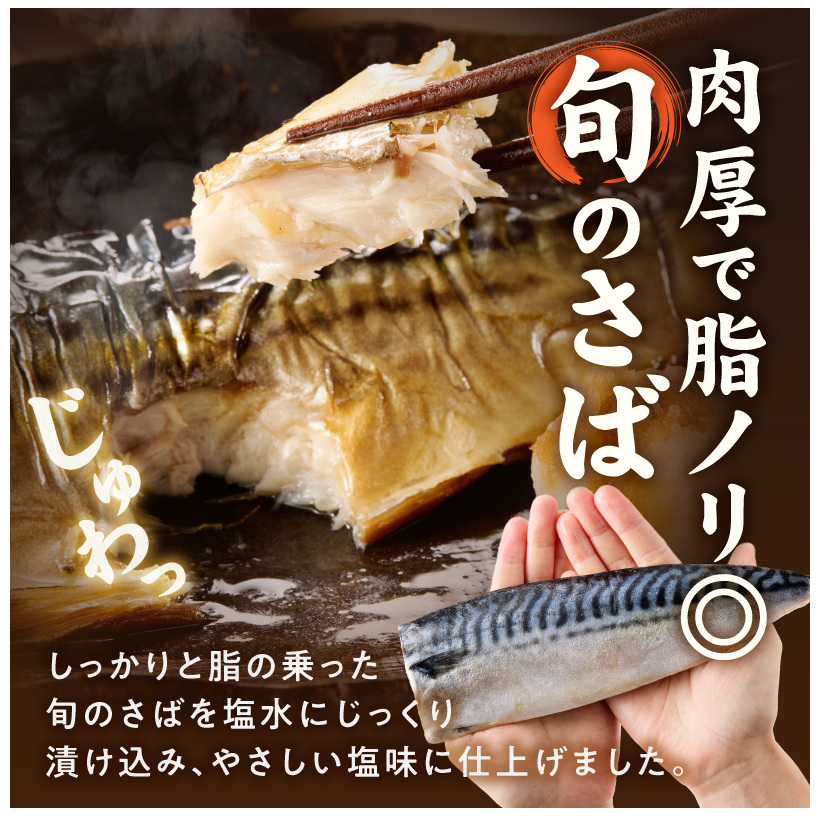 G7322_塩さばフィレ24枚入(真空パック入)_イメージ3