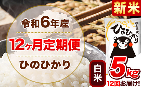 令和6年産新米 【12ヵ月定期便】 白米 ひのひかり 定期便 5kg 5kg×1袋《お申込み翌月から出荷開始》 熊本県産 精米 ひの 米 こめ ヒノヒカリ コメ お米