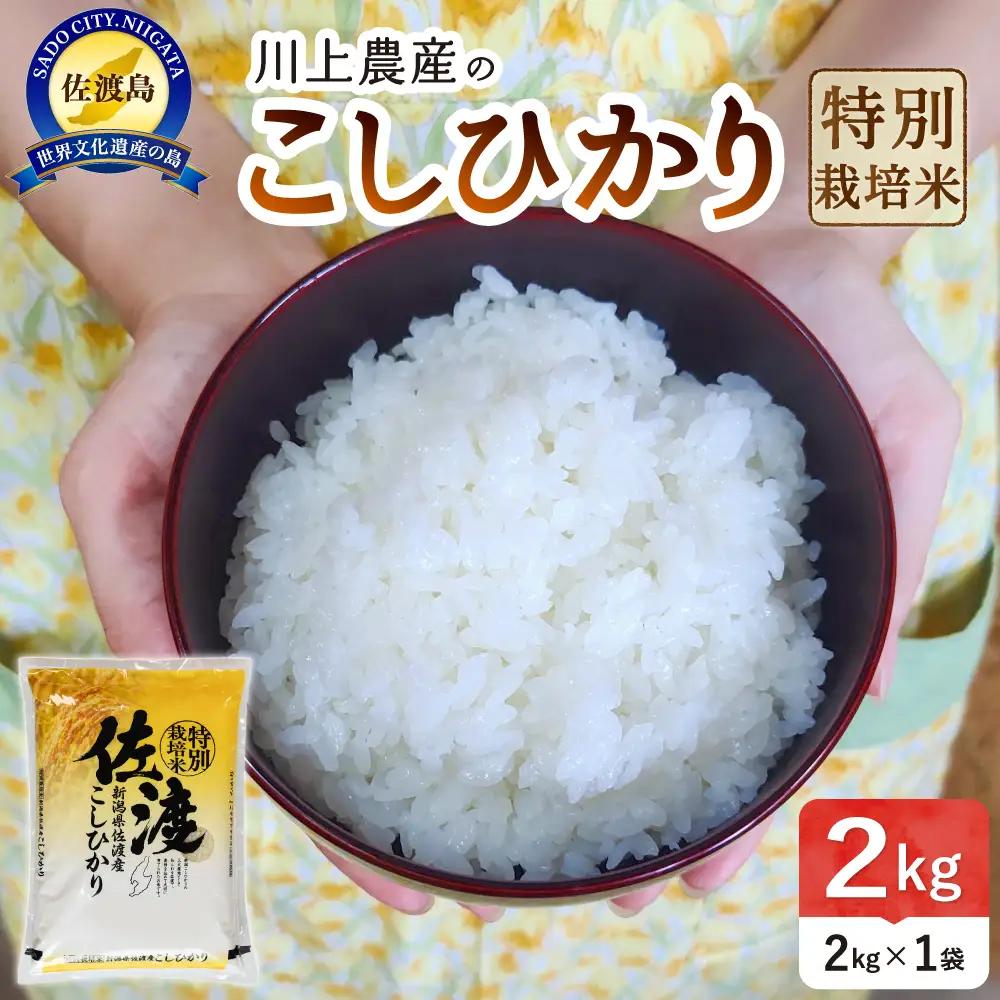 【コシヒカリ 2kg】令和7年産 佐渡産コシヒカリ 2kg 精米 少量パック 川上農産