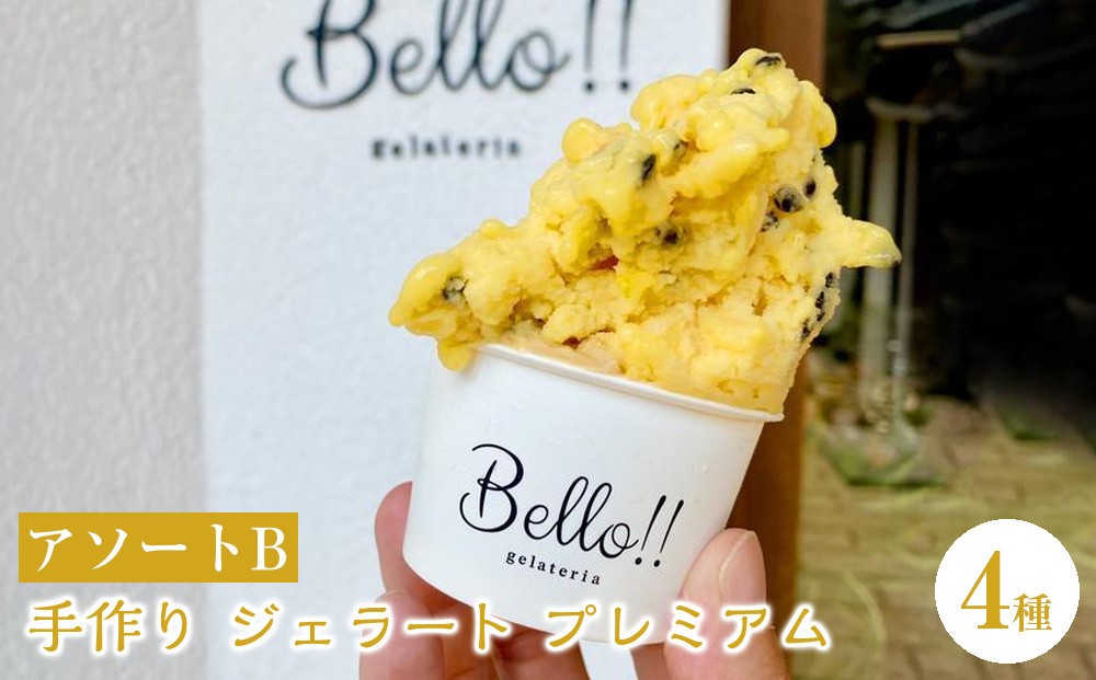
【無添加・無着色】手作り ジェラート プレミアムアソート B

