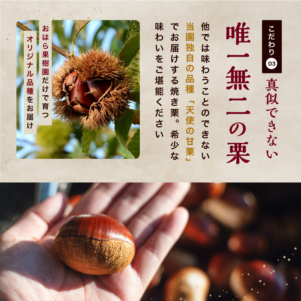 【JALふるさと納税限定価格】【先行予約】天使の甘栗 和栗焼き栗600g | 栗 甘栗 くり クリ 国産和栗 和栗 自然の甘み 無添加おやつ 焼き栗 やさしい甘さ 大分県 中津市