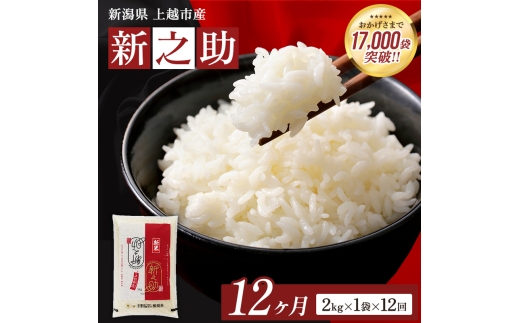 【令和8年産 先行予約】 新之助 無洗米 新潟県 上越産 2kg 12か月 定期便 しんのすけ 五つ星お米マイスターのいるお店 お米 精米 米 ご飯 大黒屋商店