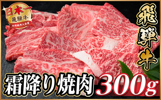 
                  飛騨牛 霜降り焼肉 約300g BBQ用(上カルビ、肩ロース、カイノミ、ザブトン、ミスジなど)訳あり【1733113】
                