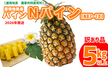 《訳あり品》2026年【屋我地島　農家協同直売所】屋我地島産Nパイン(N67-10)約5kg 訳あり品 屋我地島 沖縄 国産 パイナップル Nパイン ハワイ種 ぱいん N67-10 送料無料 ご当地 お取り寄せ 果物 くだもの 果実 ふるさと納税 名護 デザート フルーツ トロピカル