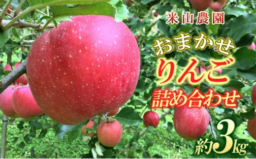 
                  米山農園のおまかせりんご（紅玉または秋映え・シナノスイート・シナノゴールド・王林・サンふじ）約3kg 10月から順次発送 | りんご  詰め合わせ おまかせ  長野市産 人気 おすすめ 林檎 フルーツ 果物 食べ比べ  家庭用 送料無料 長野県 長野市 信州 信濃 ふるさと納税
                