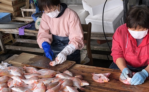 浜口海産物店のじゃこ2種と干物2種セット シラス 無添加 詰め合わせ 食べ比べ 釜揚げ しらす丼 ちりめん丼 じゃこ ジャコ 干物 しらす シラス 釜揚げしらす 【R00013】