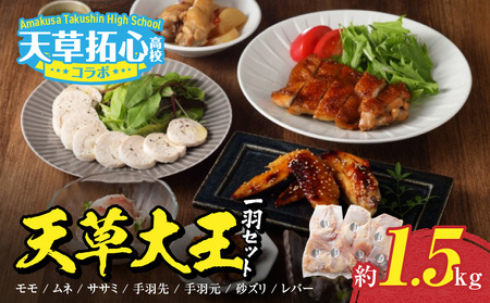 S168-010_天草大王一羽セット