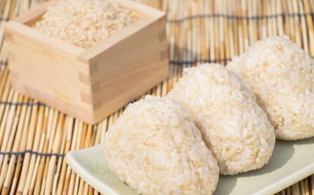 【3ヶ月定期便】 令和7年産 玄米 10kg×3ヶ月お届け 品種 たかたのゆめ 陸前高田市 オリジナル ブランド米 冷めてもおいしい