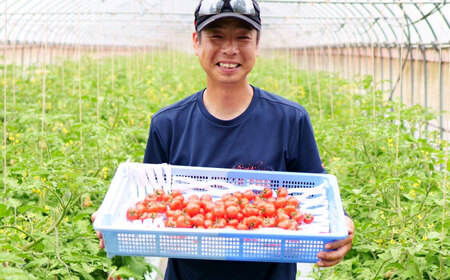 黄色いチェリートマトジュース180ml×5本入 島根県松江市/有限会社安藤農園[ALID003]