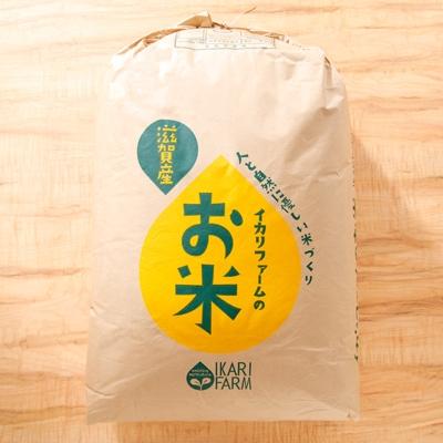 ふるさと納税 近江八幡市 【令和7年産】すっごいもちもち「しきゆたか」玄米30kg