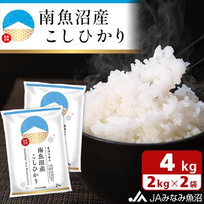 ふるさと納税 南魚沼市 【令和8年産＼新米/】JAみなみ魚沼不動の人気「南魚沼産こしひかり」精米 4kg(2kg×2袋)