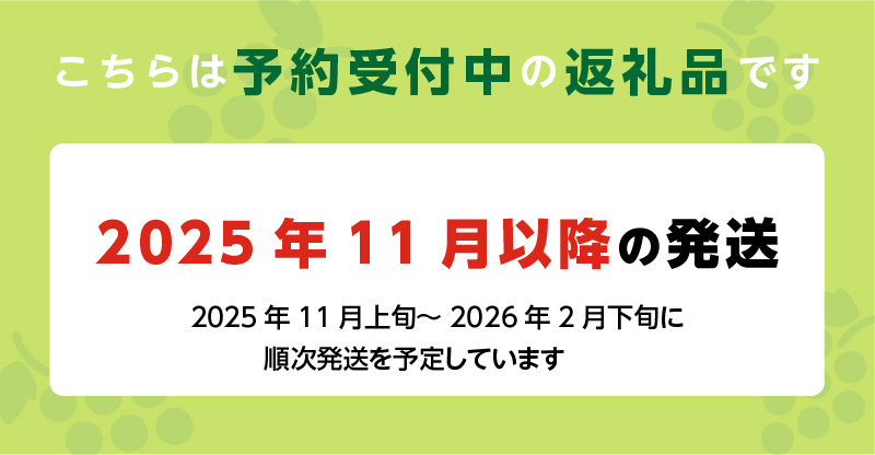 【2025年11月よりお届け】冬にお届け！シャインマスカット×2房_冬にお届け！ シャインマスカット 400g以上 × 2房 冷蔵技術 冬でも美味しい 皮ごと食べる 贈答用 おすすめ 国産 ぶどう マ