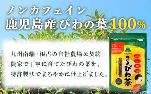 ねじめびわ茶１０包入とねじめびわ茶麺４束　セット